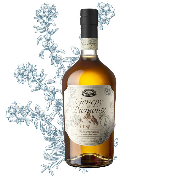 Quaglia_Genepy-Piemonte_illustrazione