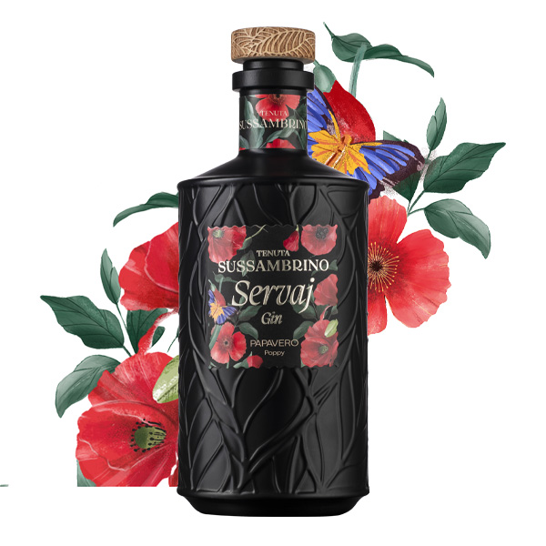 Papavero_illustrazione