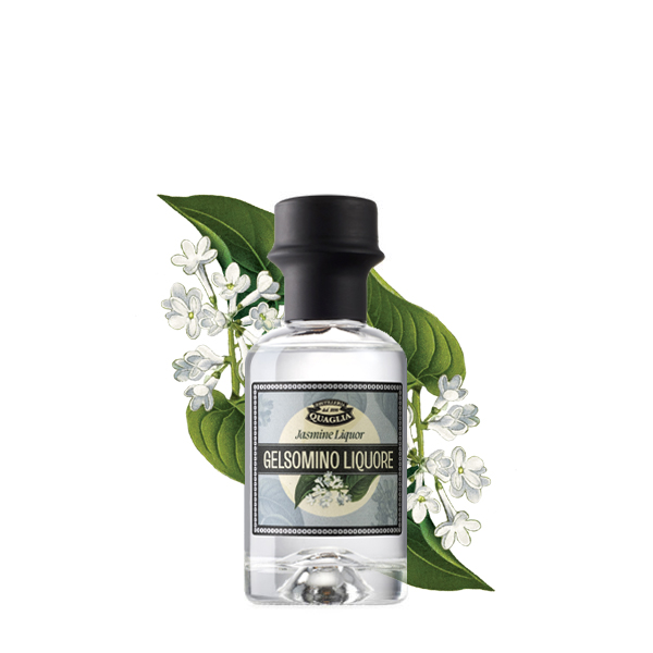 Quaglia_mignon_Gelsomino_illustrazione2023