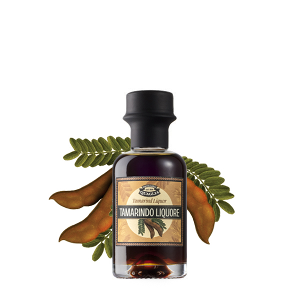 Quaglia_mignon_Tamarindo2023jpg