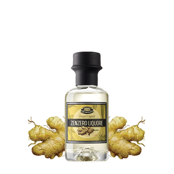 Quaglia_mignon_Zenzero_illustrazione2023