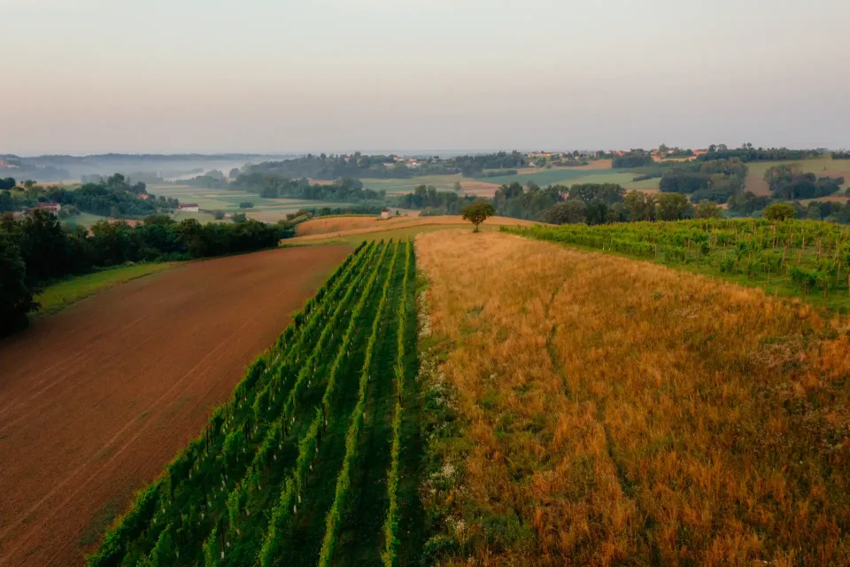 Lp Sussambrino Identita V2