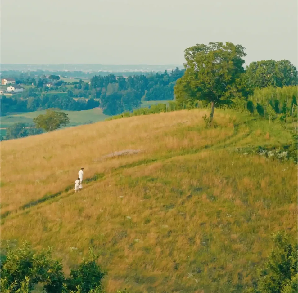 Lp Sussambrino Stgioni