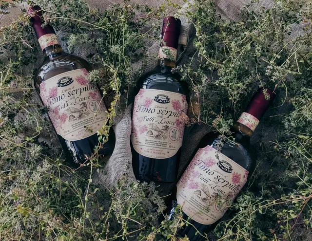 Lp Liquori Alpini Hero V2