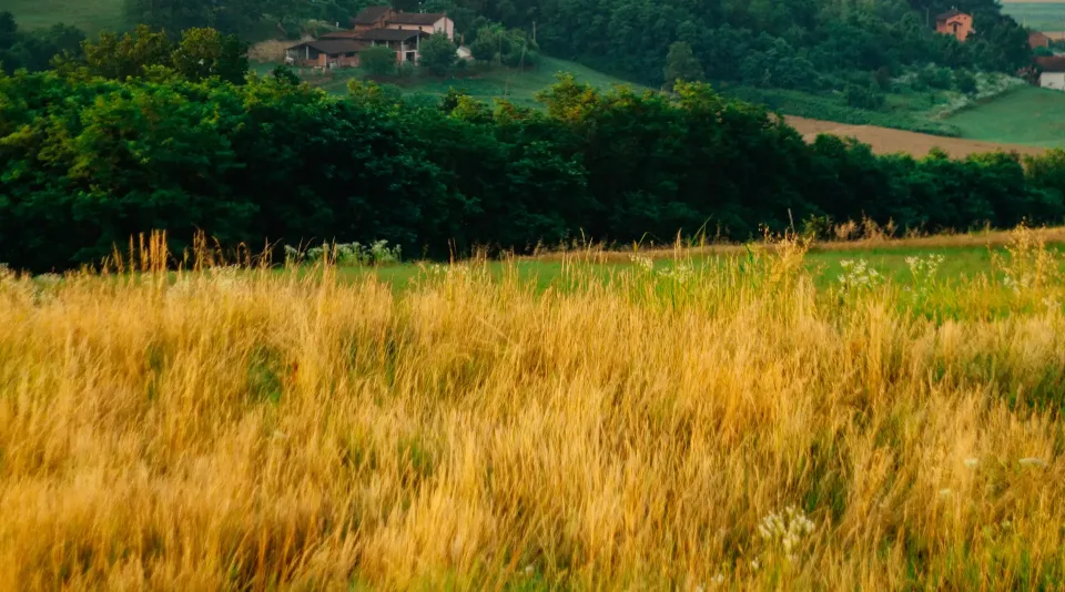 Home Distilleria Bg P2