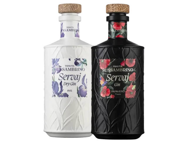 Slide Linea Sussambrino