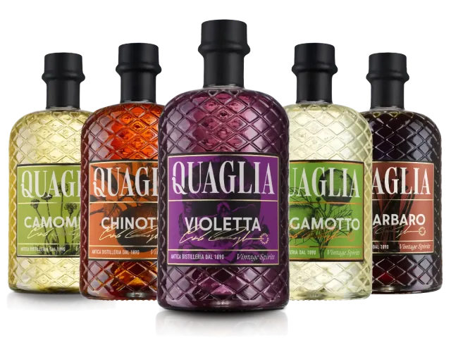 Slide Linea Vintage V2